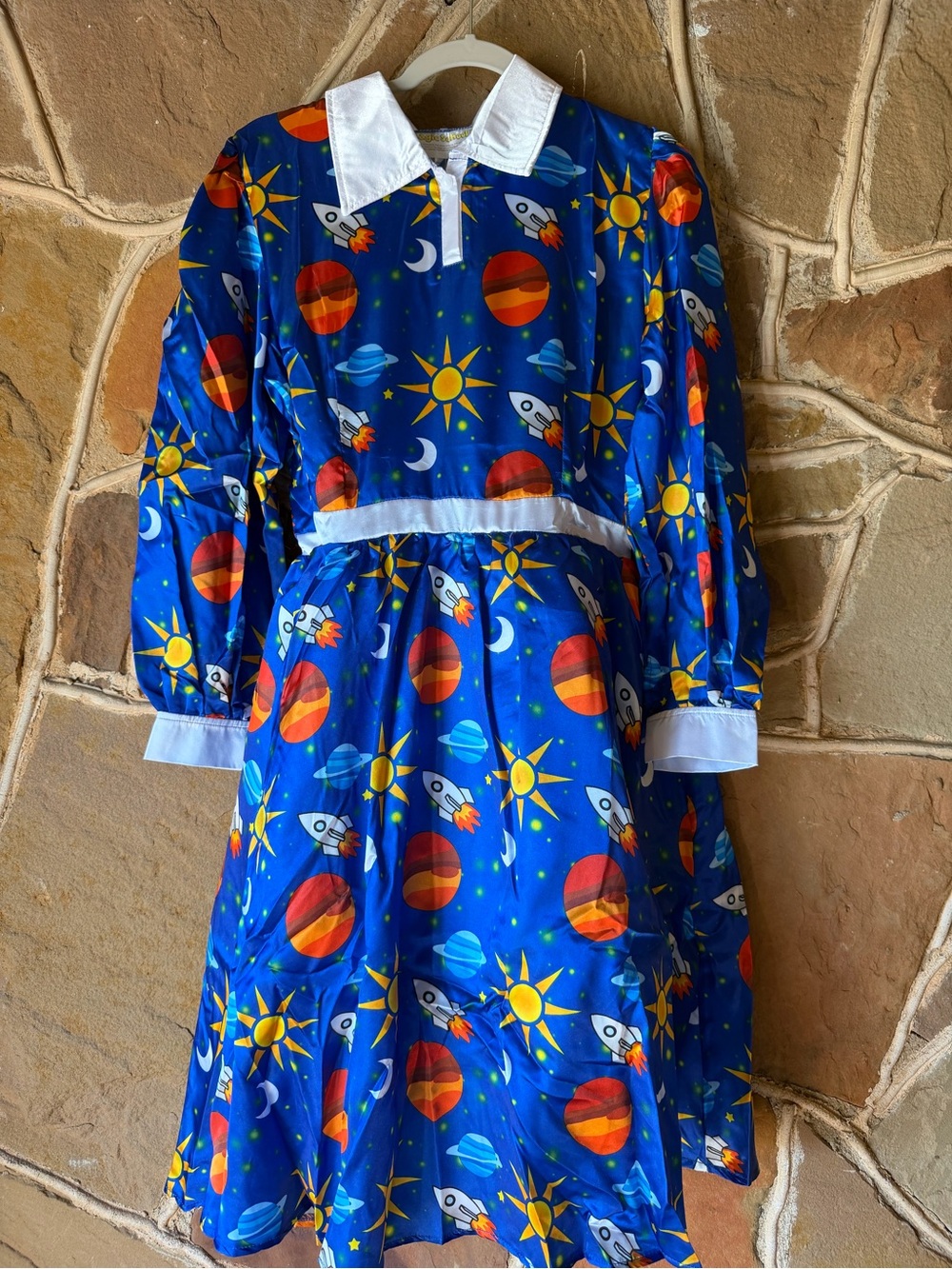 Miss Frizzle Costume